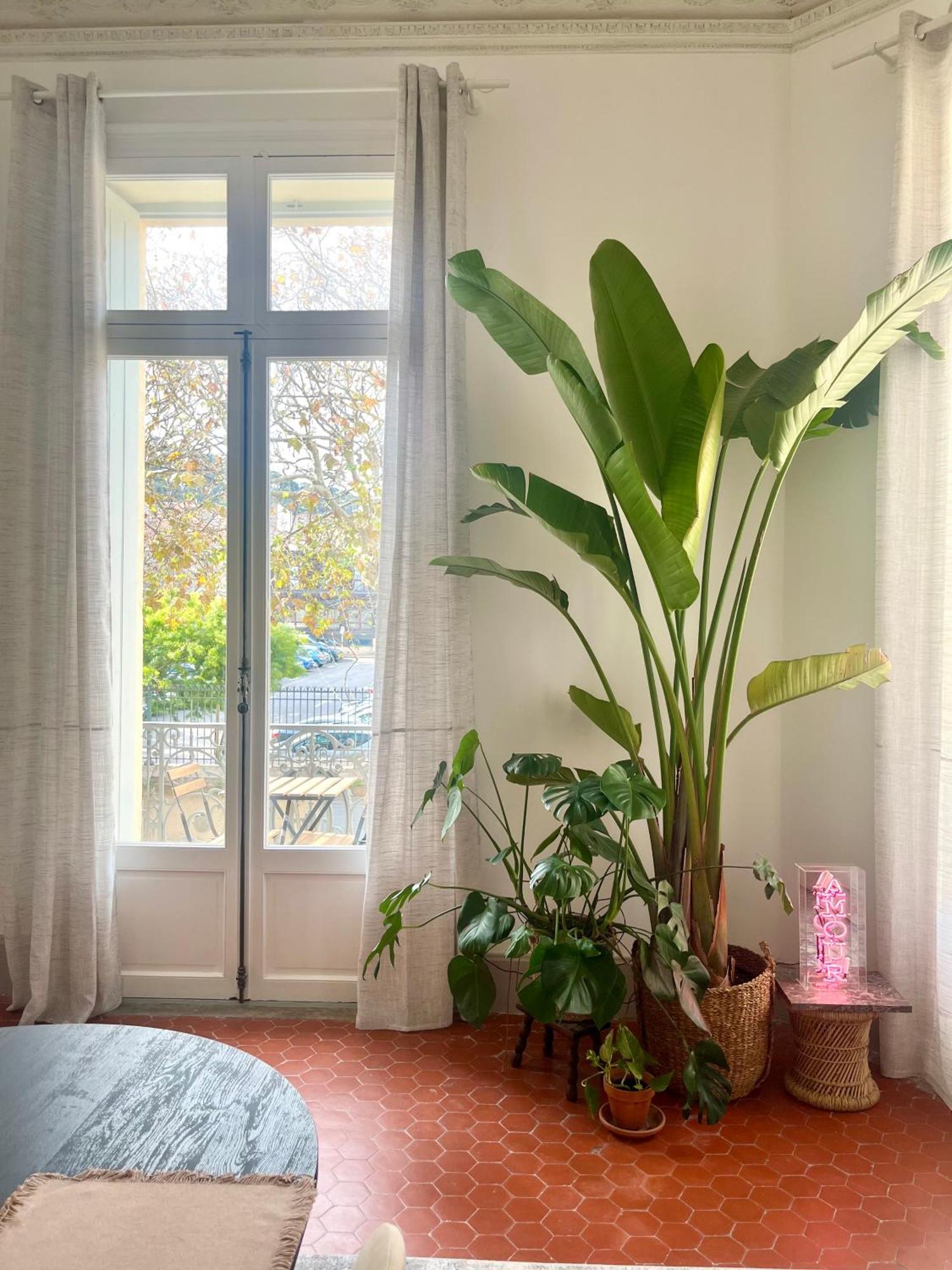 L'Echappee Setoise - Appartement Haussmannien - Localisation Exceptionnelle - Proche Canal Sète Eksteriør billede